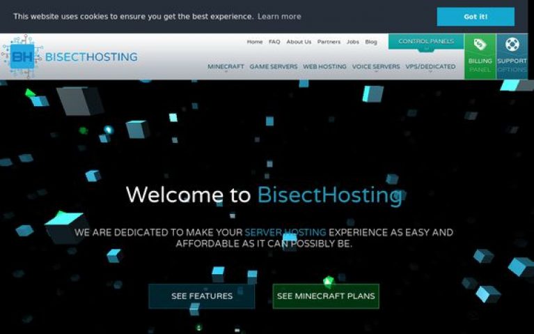 BisectHosting Review 2020