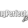 pingperfect-minecraft-hosting